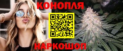 сатива Кунгур