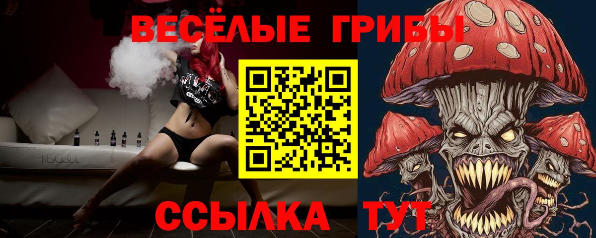 Псилоцибиновые грибы MAGIC MUSHROOMS  Вход с VPN  закладки  Зима 