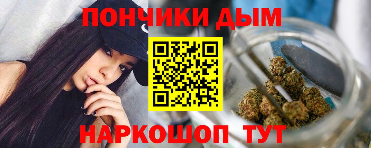 Бошки марихуана план  Марихуана сатива  Каннабис Amnesia  МАРИХУАНА ГИДРОПОН  Зима  Вход с VPN 